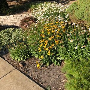 Meet your Posher, Teri